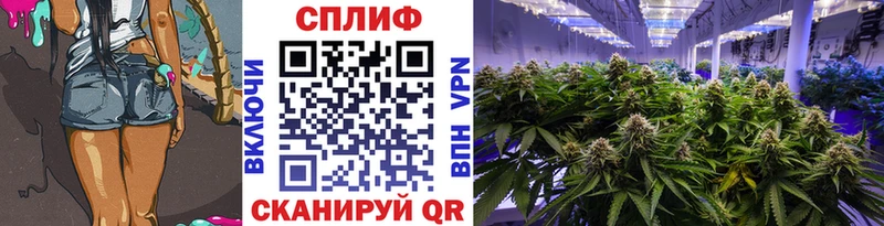как найти закладки Талдом Конопля гибрид